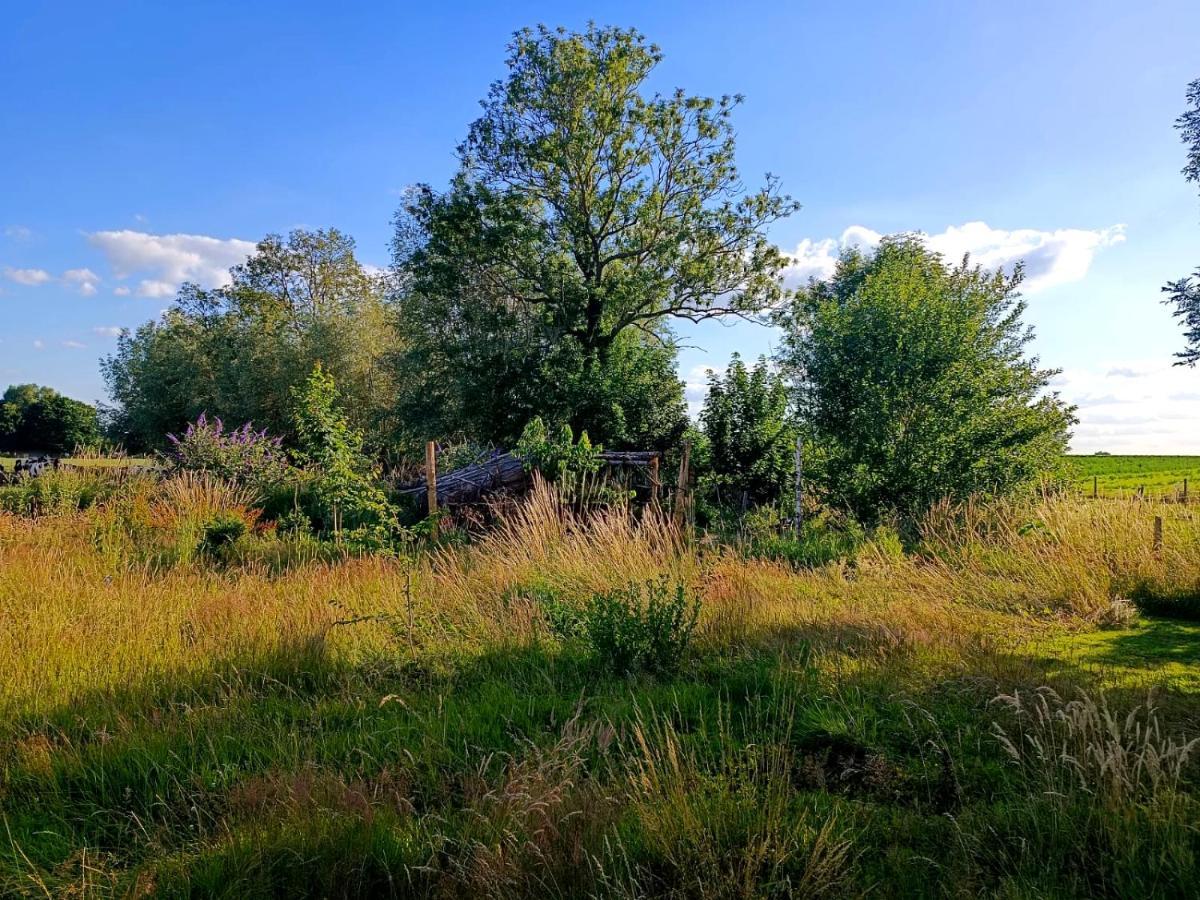 Au Pied Du Trieu, The Glamping Experience Hotel Labroye Buitenkant foto